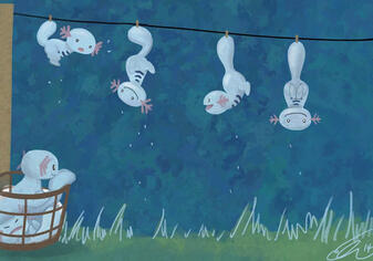 Wooper